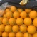 精品甜瓜久红瑞甜瓜量大从优质量保证欢迎咨询