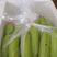 广西高山香蕉威廉斯香蕉现摘发货软糯香甜支持一件代发