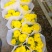 清明菊花，龙爪菊，黄白菊，荷兰菊，质量优，性价比高，全国