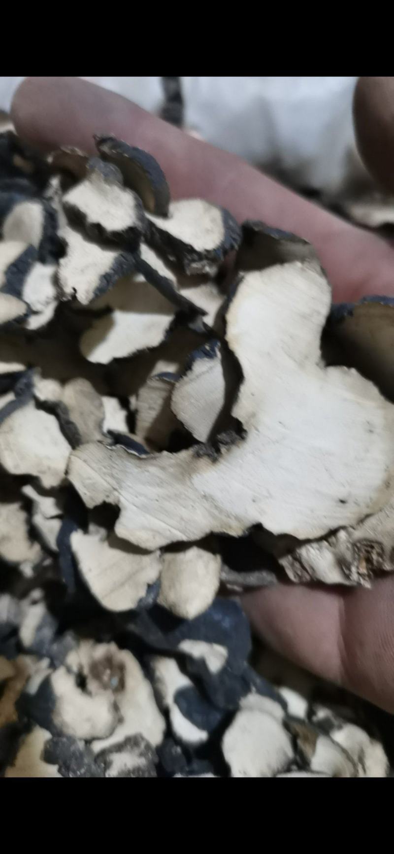 猪苓过4个筛子的猪苓片泽润中药批发零售各种