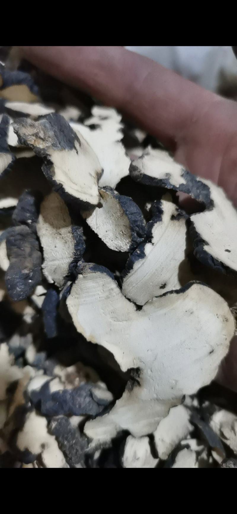 猪苓过4个筛子的猪苓片泽润中药批发零售各种