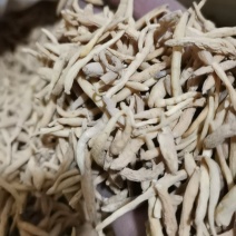 太子参选货太子参泽润中药批发零售各种中药材