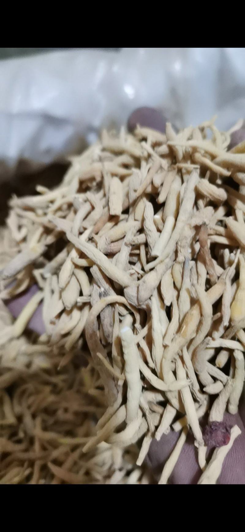 太子参选货太子参泽润中药批发零售各种中药材