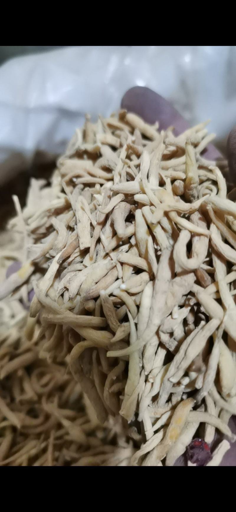 太子参选货太子参泽润中药批发零售各种中药材