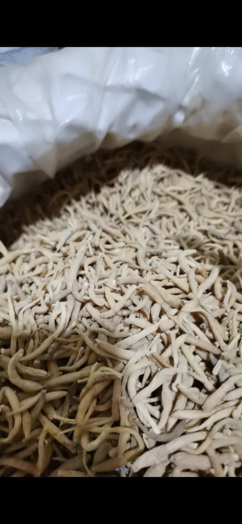 太子参选货太子参泽润中药批发零售各种中药材