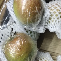玉露香玉露香梨运城玉露香梨产地直供