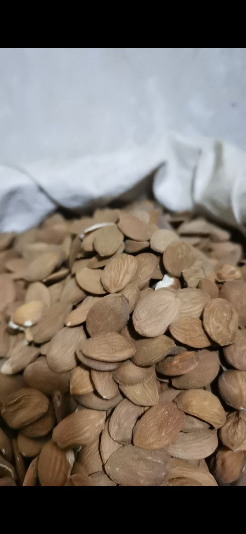 桃仁颗粒饱满好桃仁泽润中药批发零售各种中药材