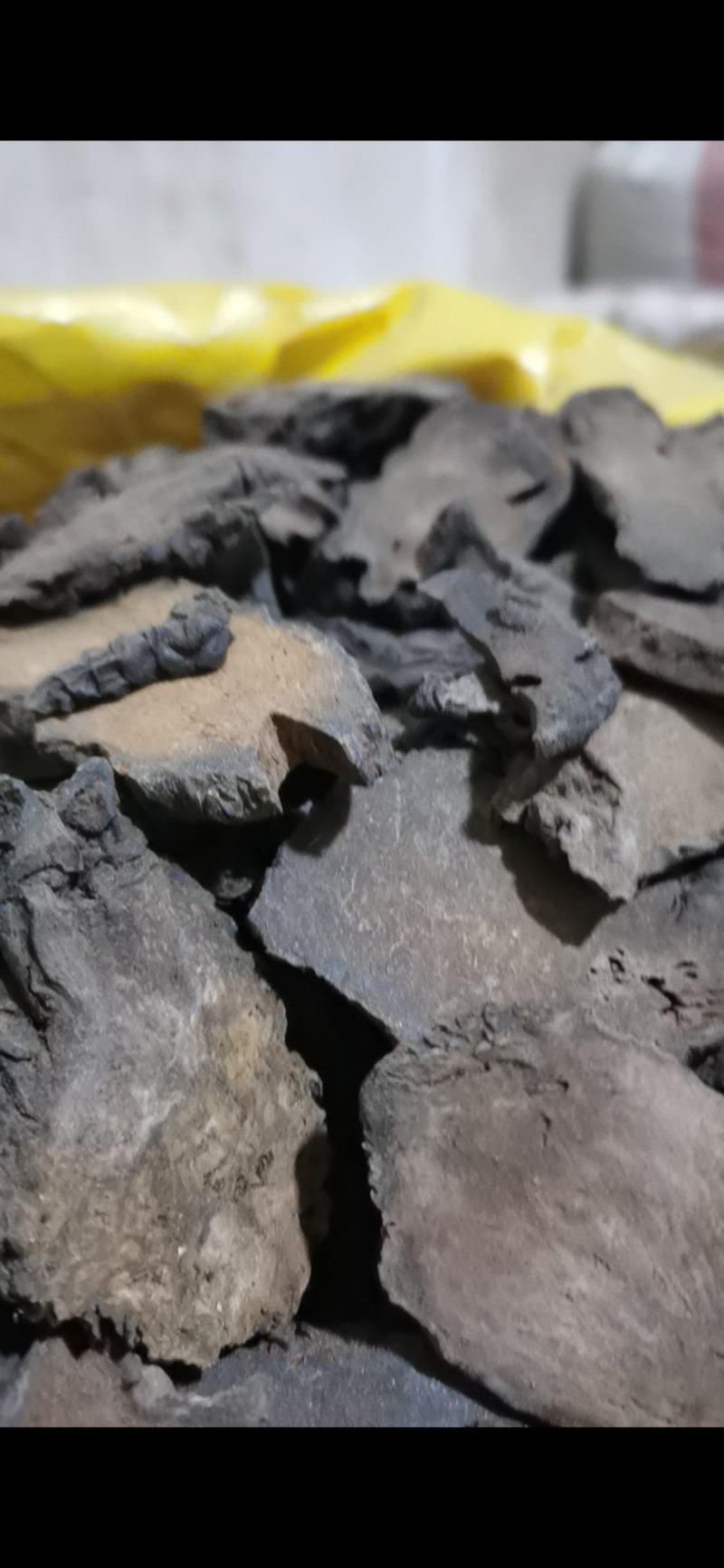 肉苁蓉硬大云片泽润中药批发零售各种中药材