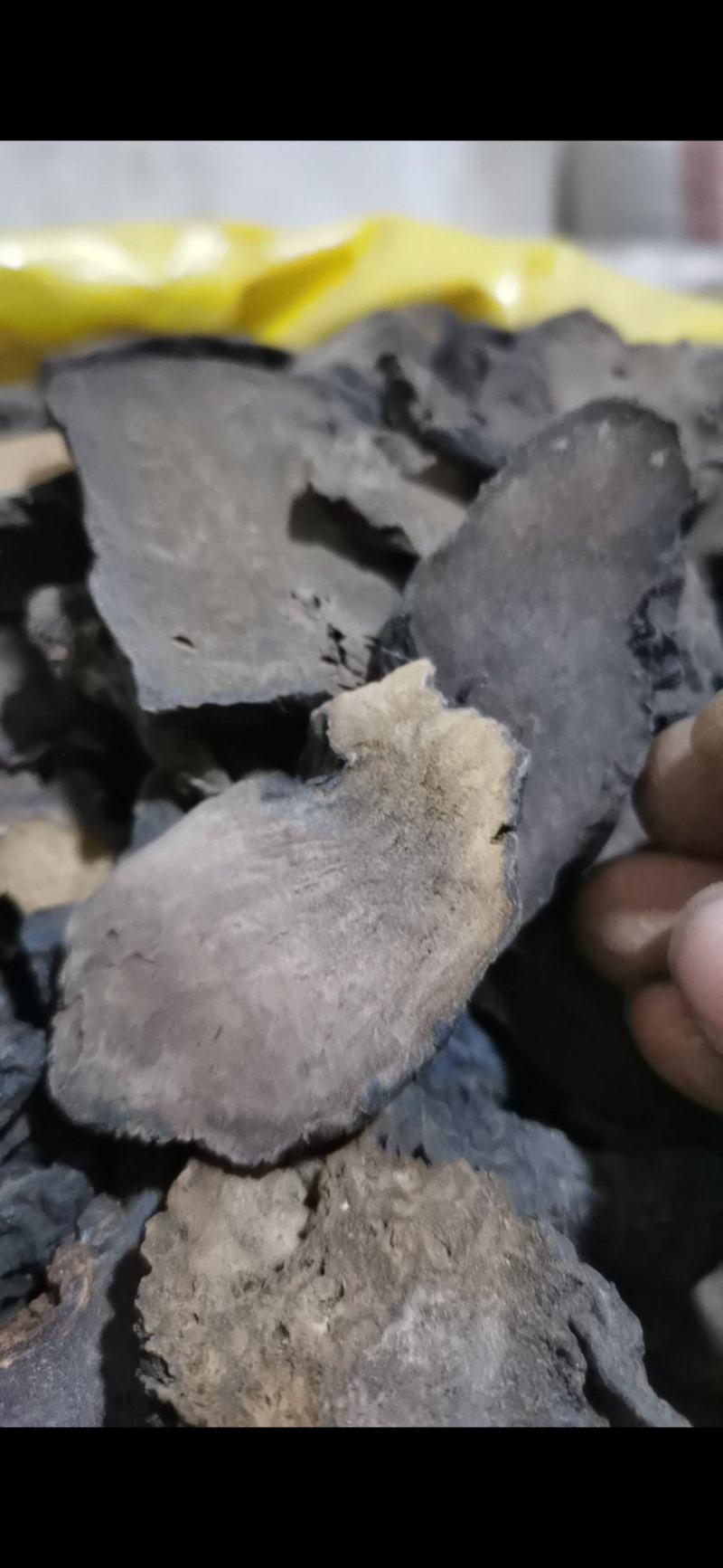 肉苁蓉硬大云片泽润中药批发零售各种中药材