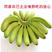 广西高山香蕉威廉斯香蕉现摘发货软糯香甜支持一件代发