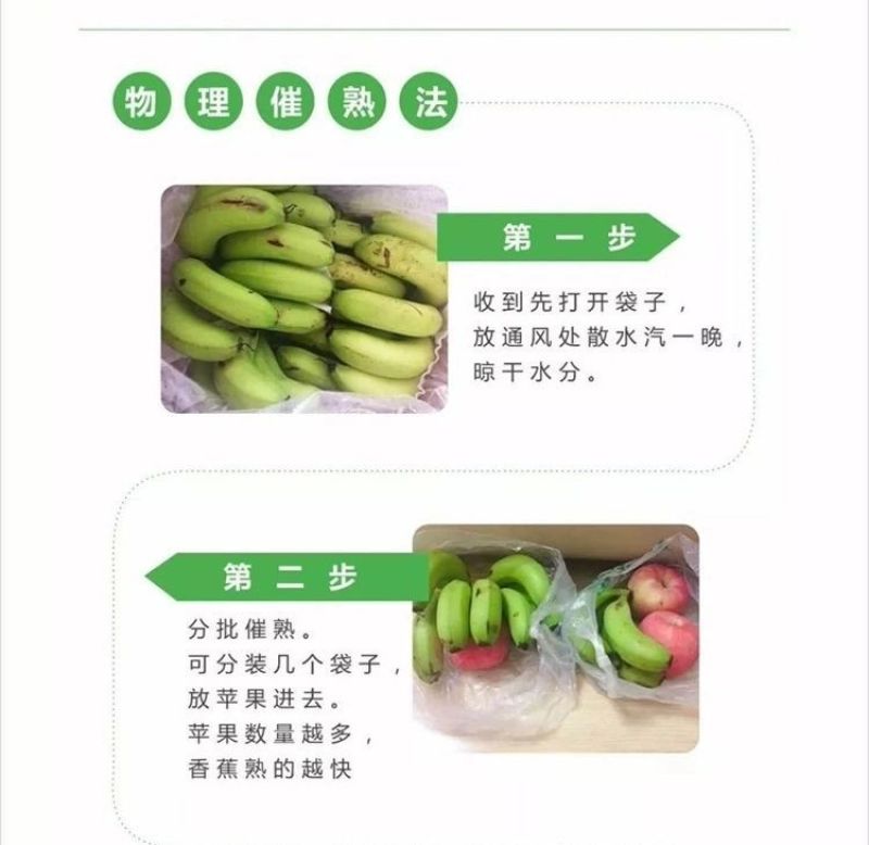 广西高山香蕉威廉斯香蕉现摘发货软糯香甜支持一件代发