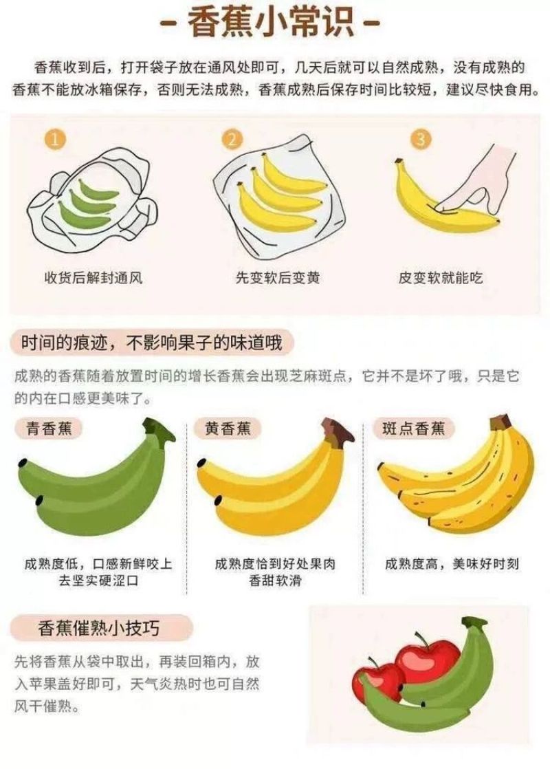 广西高山香蕉威廉斯香蕉现摘发货软糯香甜支持一件代发