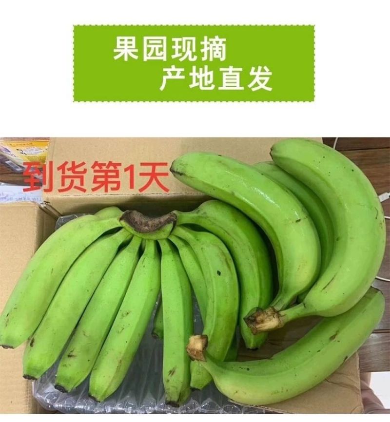 广西高山香蕉威廉斯香蕉现摘发货软糯香甜支持一件代发