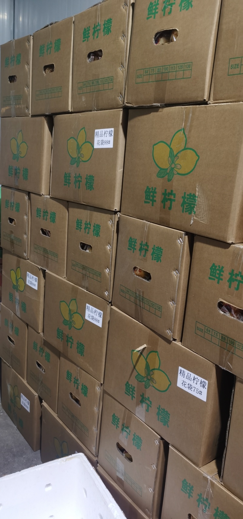 [热卖]四川安岳柠檬产地直发水果店奶茶小果50-90克