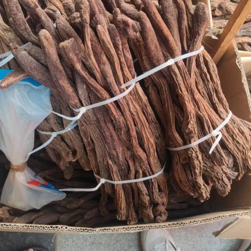 精品锁阳