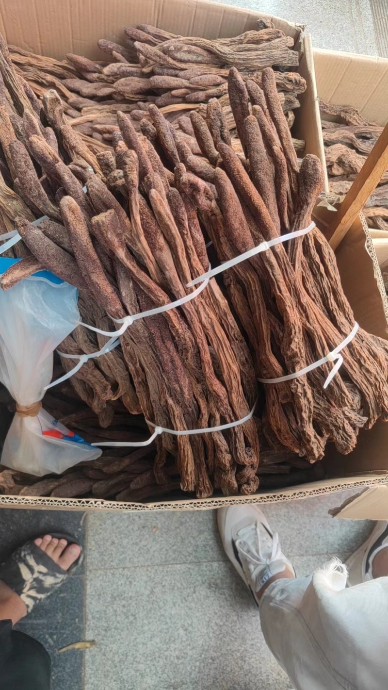精品锁阳