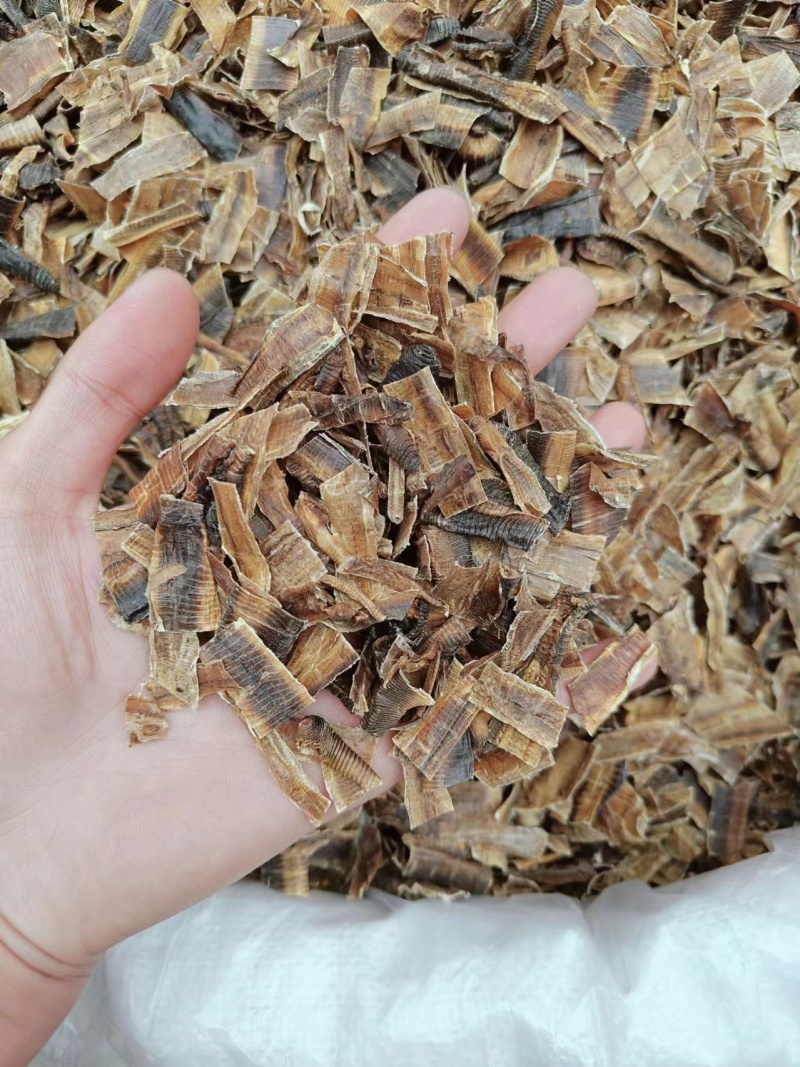 广地龙欢迎电话咨询