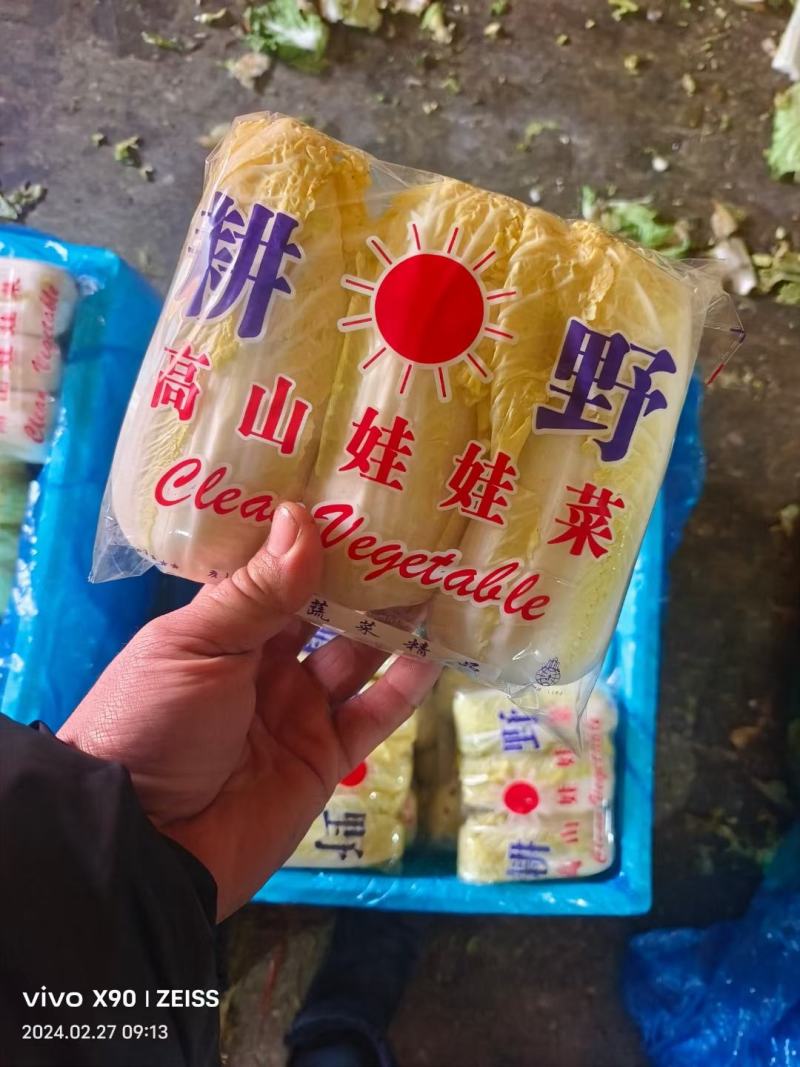 本地区有大小娃娃菜，常年供应货源不短，有需要的老板可以联