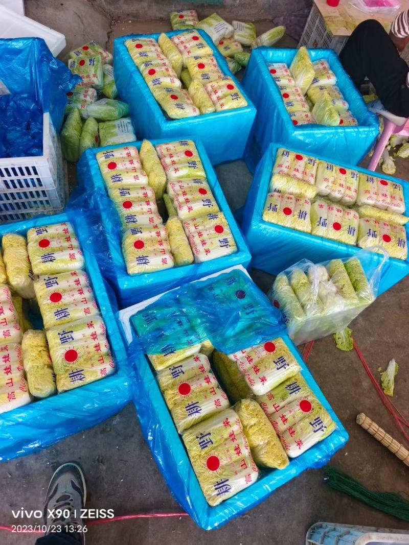 本地区有大小娃娃菜，常年供应货源不短，有需要的老板可以联