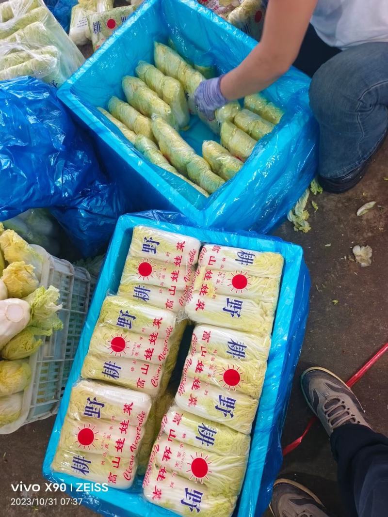 本地区有大小娃娃菜，常年供应货源不短，有需要的老板可以联