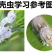 正介22.4%螺虫乙酯柑橘介壳虫烟粉虱白杀卵杀虫剂农药
