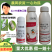 正介22.4%螺虫乙酯柑橘介壳虫烟粉虱白杀卵杀虫剂农药