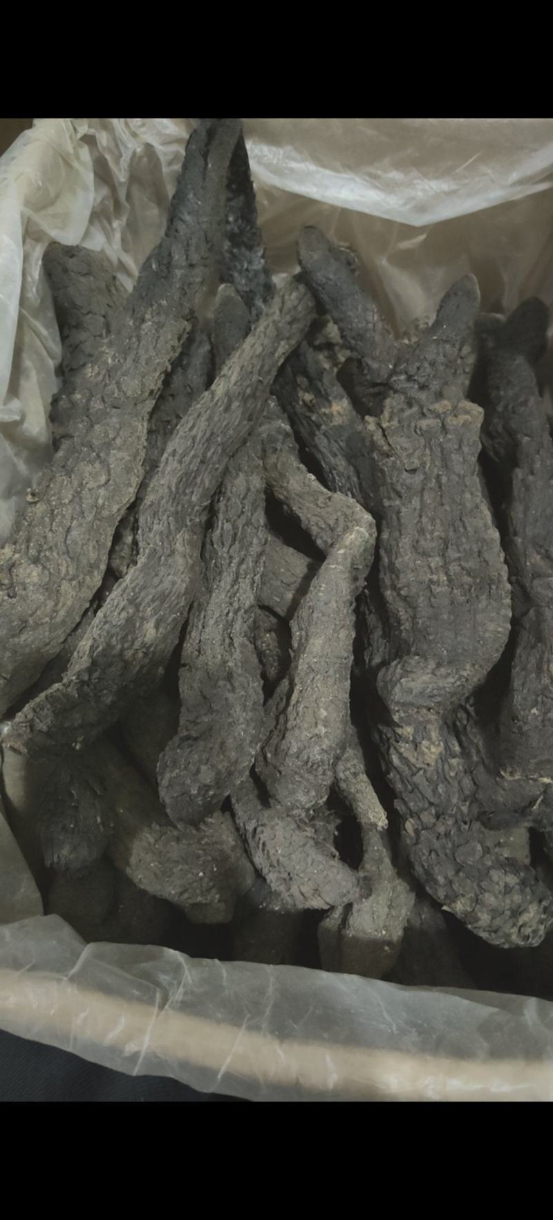 野生肉苁蓉软大芸泡酒圣品每支200-250克左右