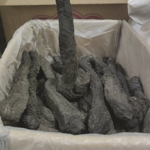 野生肉苁蓉软大芸泡酒圣品每支200-250克左右