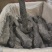 野生肉苁蓉软大芸泡酒圣品每支200-250克左右