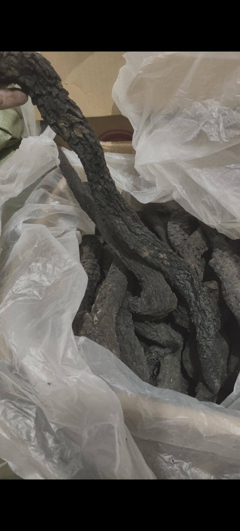 野生肉苁蓉软大芸每支250克以上万信药业只做精品