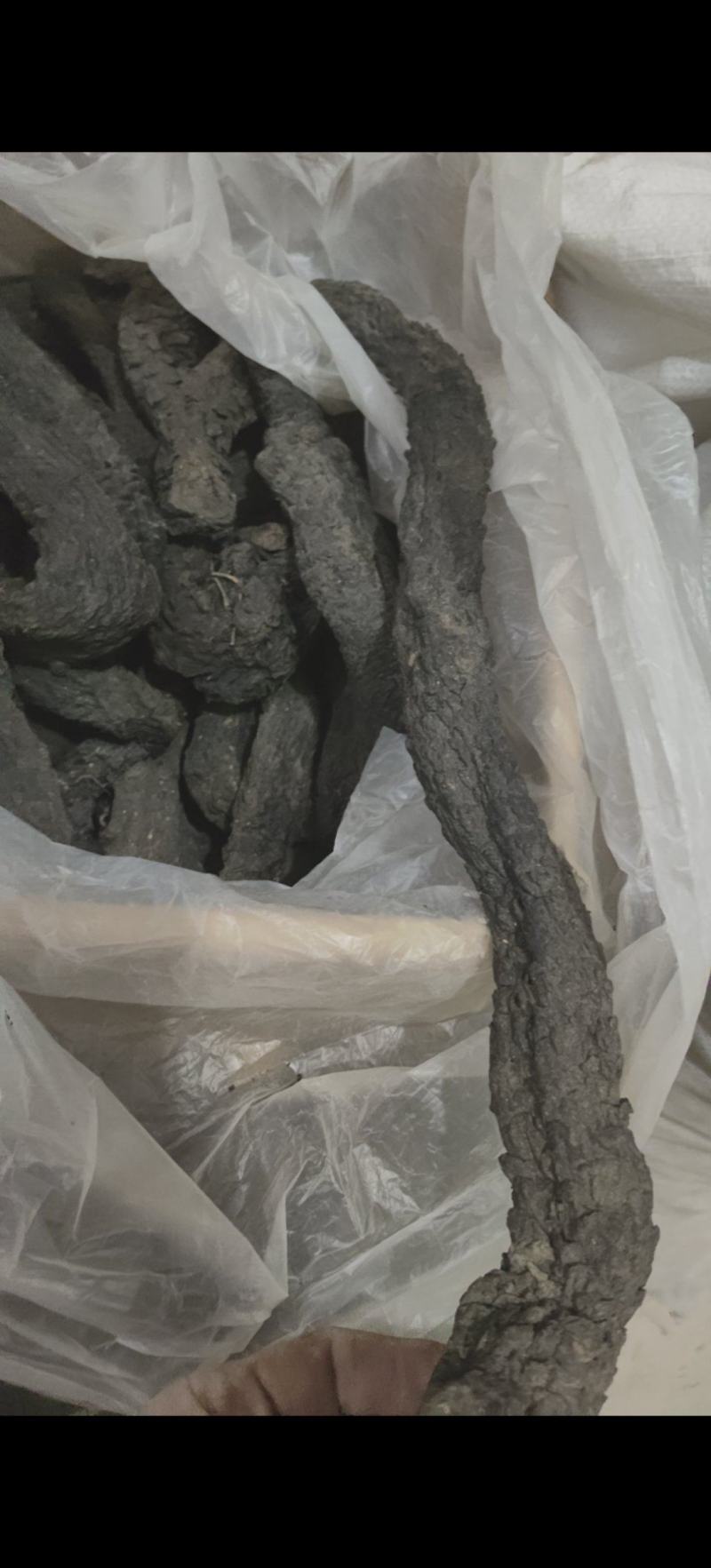 野生肉苁蓉软大芸每支250克以上万信药业只做精品