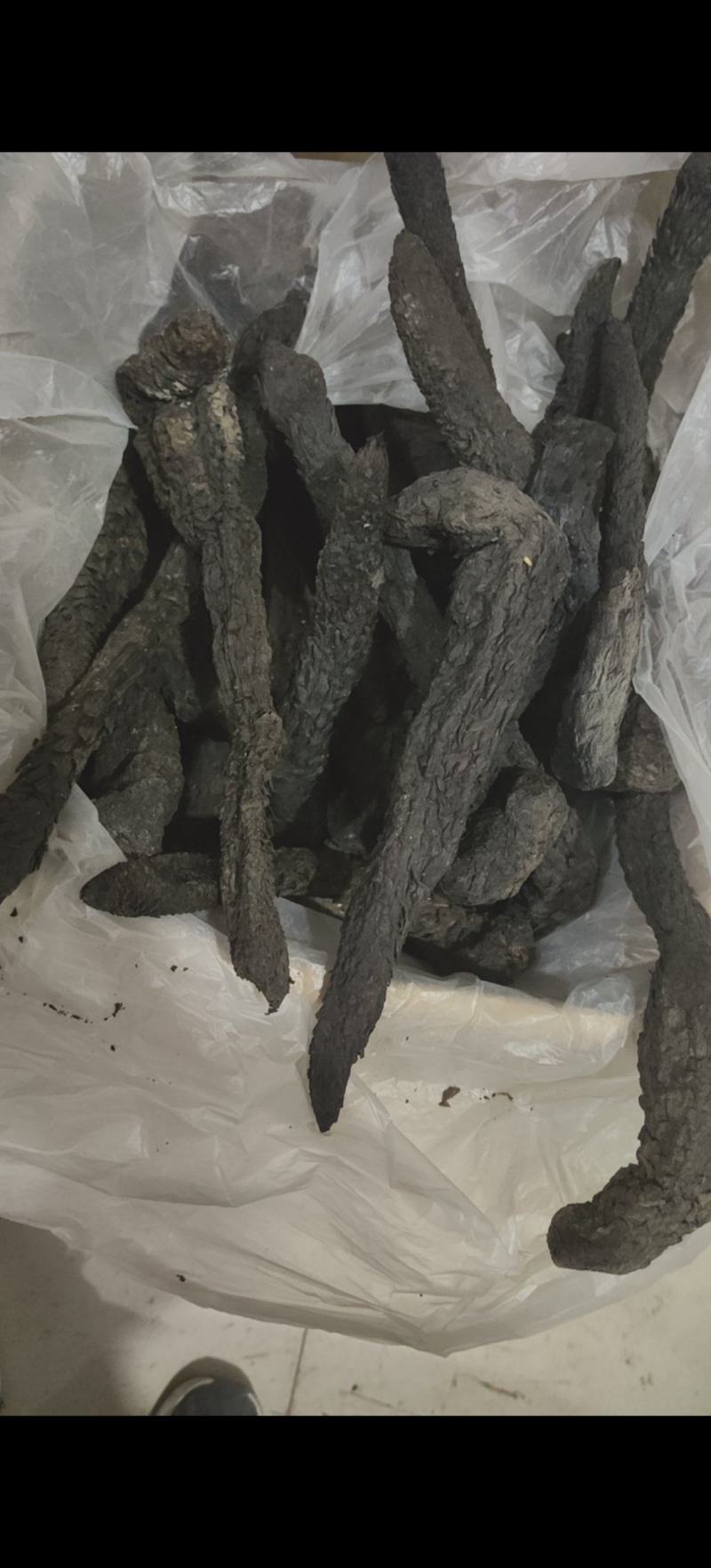 野生肉苁蓉软大芸每支250克以上万信药业只做精品