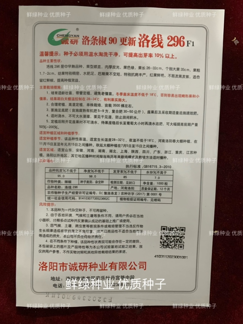 洛线296光滑顺直肉厚皮光中早熟抗病丰产