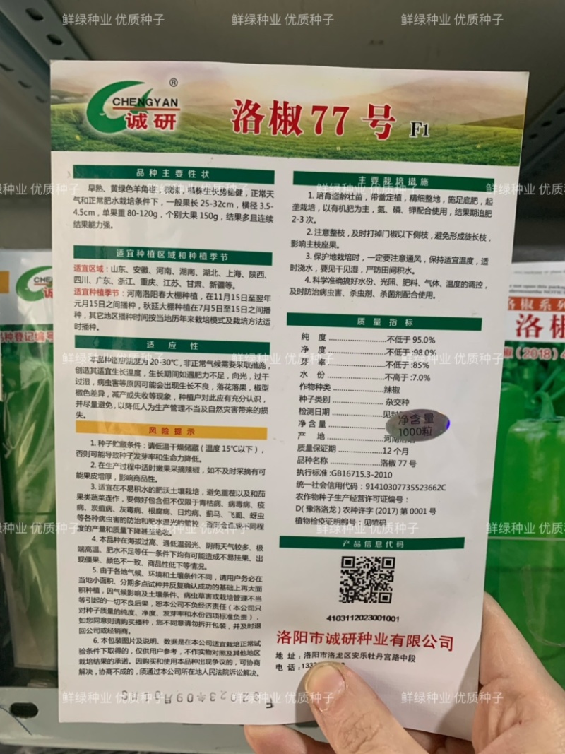 洛线296光滑顺直肉厚皮光中早熟抗病丰产