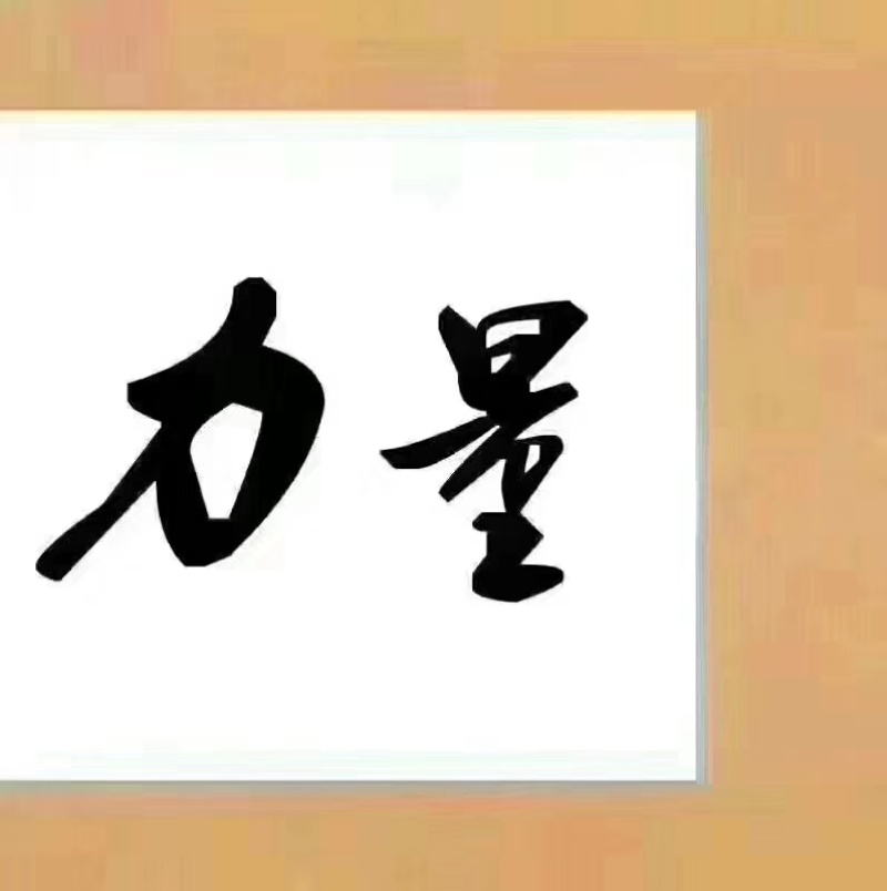 山东双胞胎生物久睦饲料4%肉羊育肥羊复合预混料