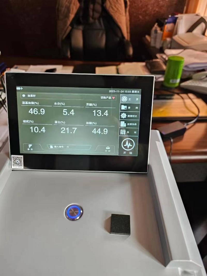 批发俄罗斯进口油菜籽