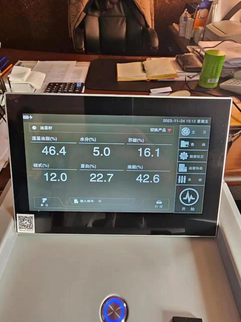 批发俄罗斯进口油菜籽
