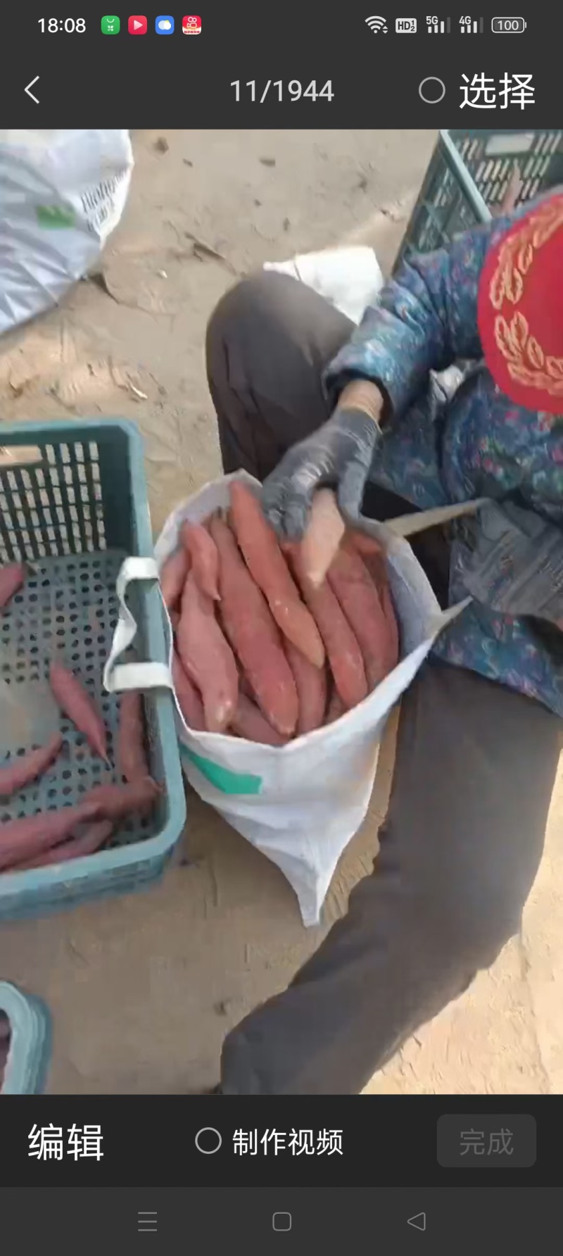 山东红薯产地西瓜红红薯大量现货窖藏红薯货源足一手货源