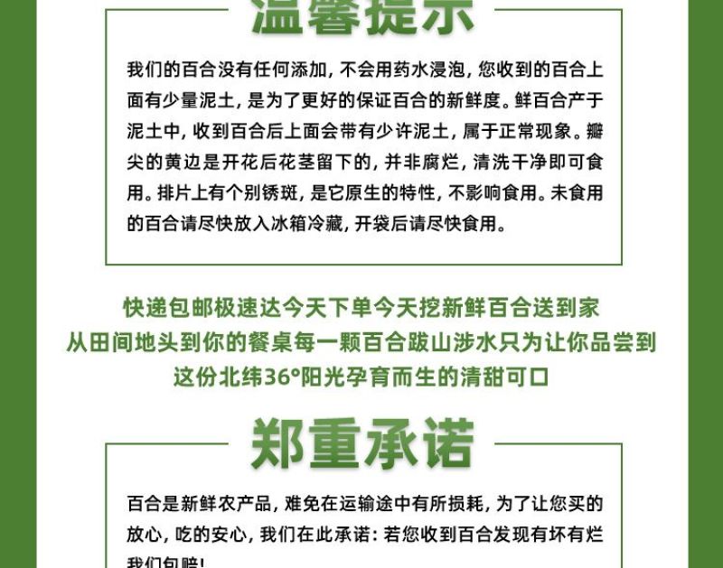 兰州百合片碗装甘肃特产大碗125g新鲜食用水果百合甜百合