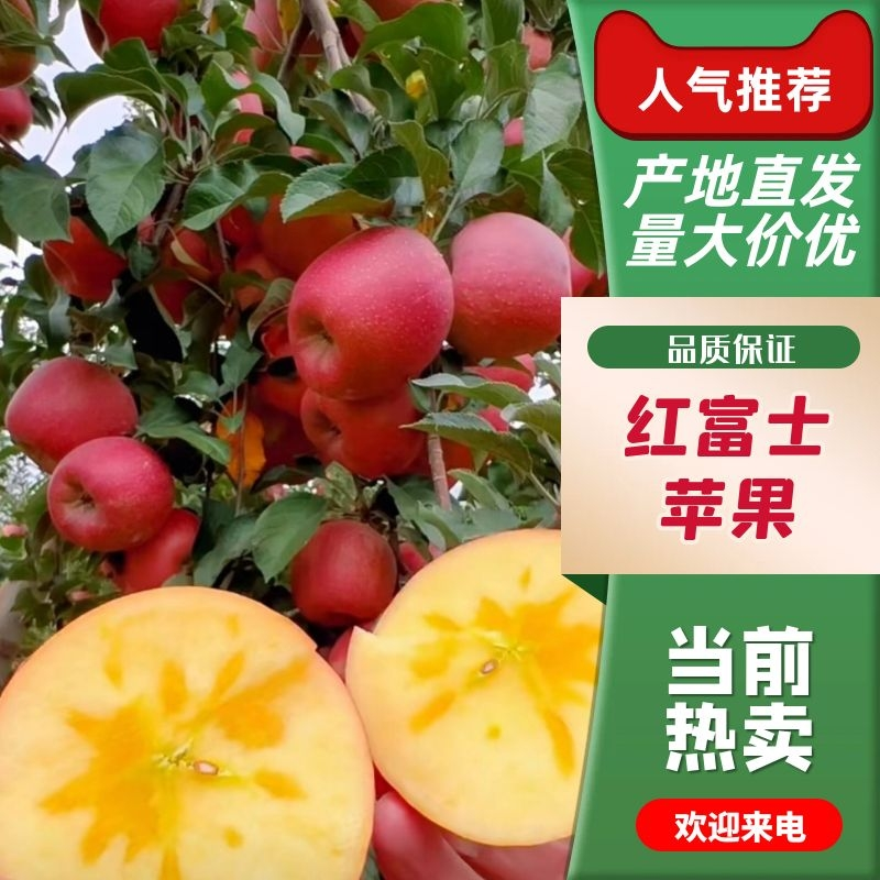 【精】一件代发红富士苹果-皮薄多汁！天然红富士苹果