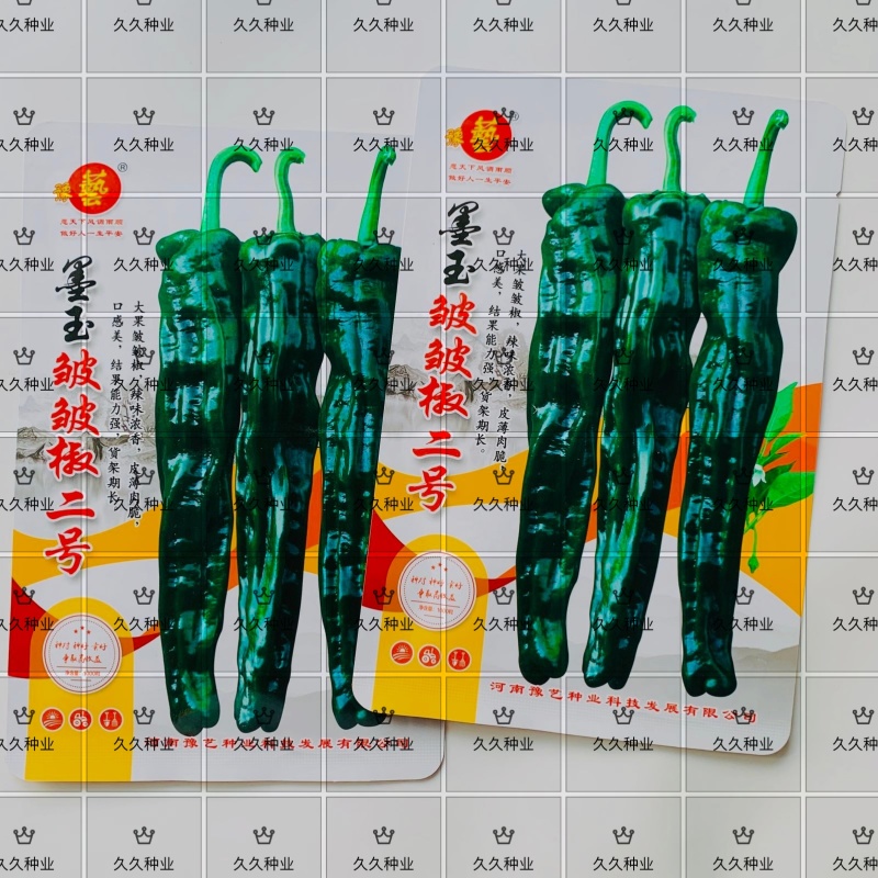 豫艺墨玉皱皱椒二号辣椒种子大果皱皮椒种籽皱皱辣种孑香辣薄