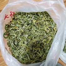 普洱大山毛尖茶