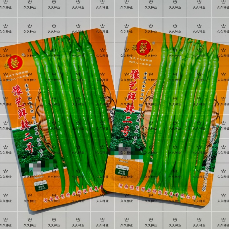 豫艺鲜辣二号辣椒种子线椒长条辣椒种籽香辣味浓大田高产蔬菜