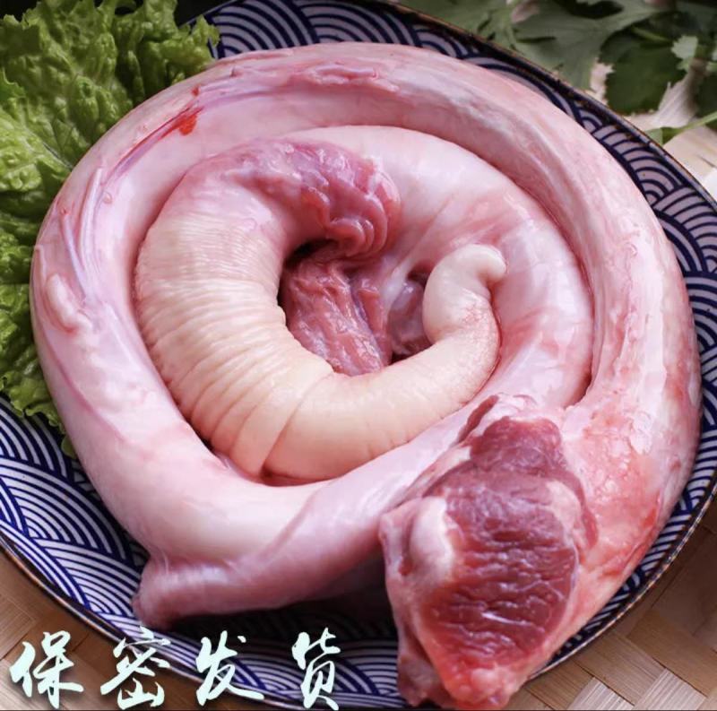 正宗高原黄牛鞭一鞭二蛋精修去油速冻保鲜餐饮直供
