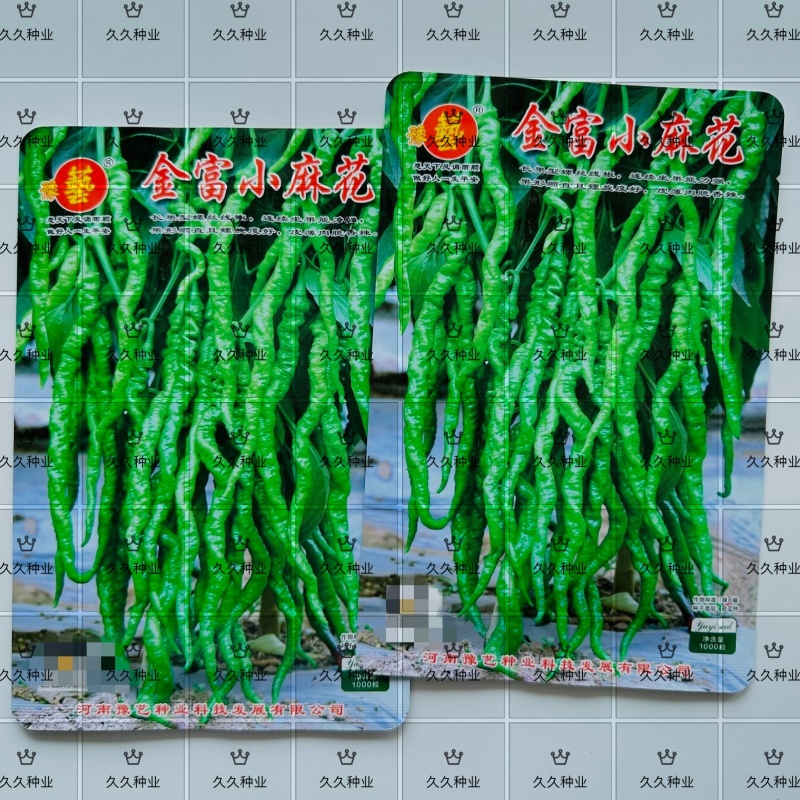 豫艺金富小麻花辣椒种子中早熟长果螺丝线椒种籽翠绿中辣薄皮