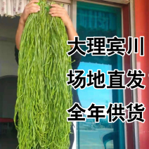 【品质推荐】云南贡菜干响菜苔干基地直发脱水蔬菜