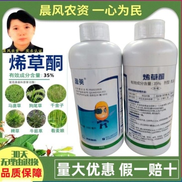 先达盈荚35%烯草酮稀草铜烯草胴希草酮牛筋草芦苇茅草除