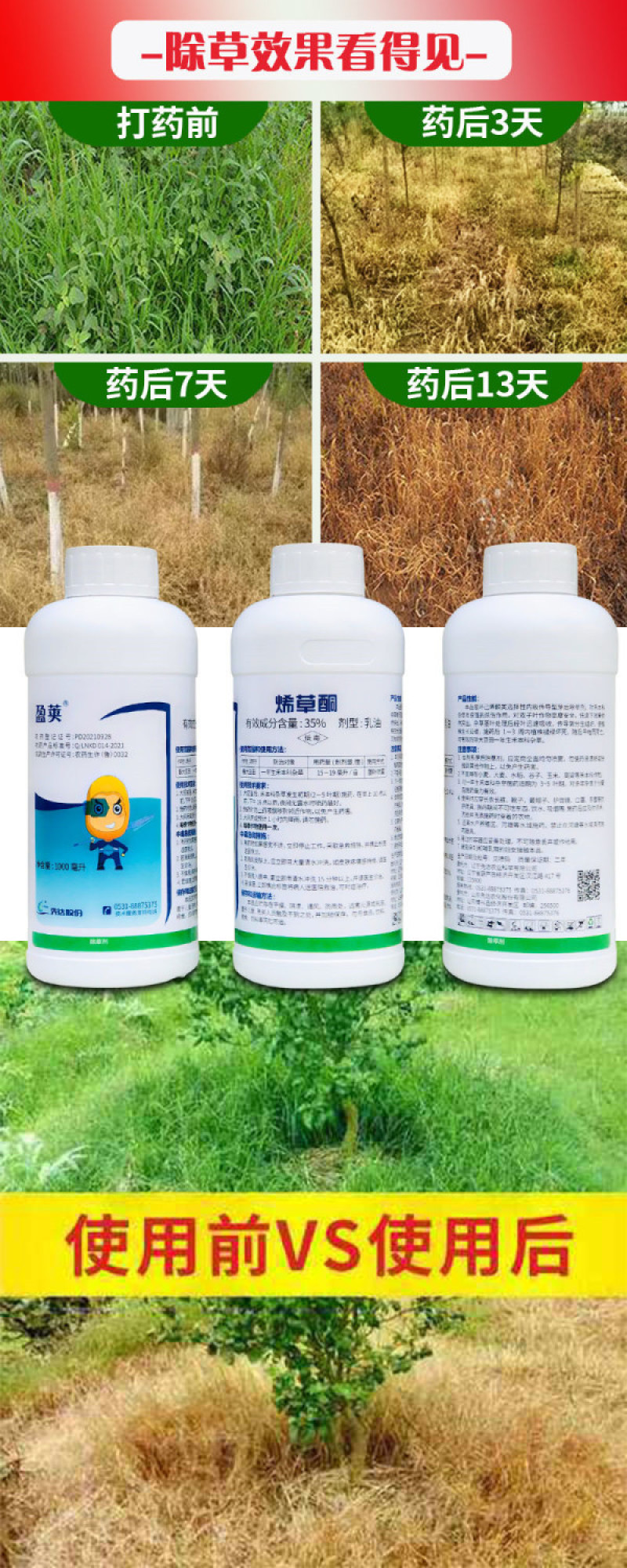 先达盈荚35%烯草酮稀草铜烯草胴希草酮牛筋草芦苇茅草除