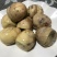 毛蛋.实蛋.半鸡半蛋.活珠子.闷炕鸡，