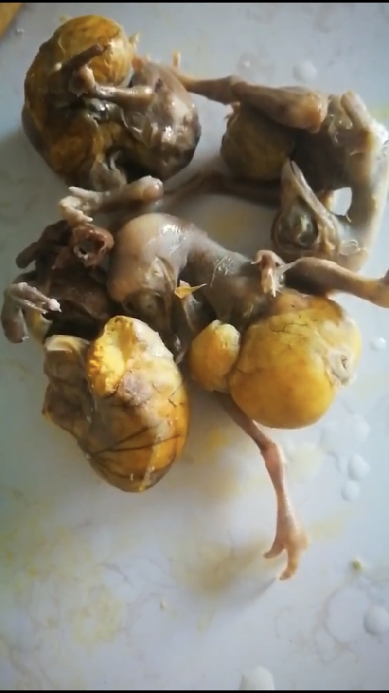 毛蛋.实蛋.半鸡半蛋.活珠子.闷炕鸡，